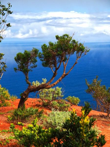 La Gomera: Ein verborgenes Paradies im Herzen der Kanarischen Inseln